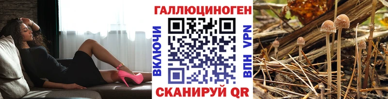 Псилоцибиновые грибы прущие грибы  кракен маркетплейс  Петров Вал 